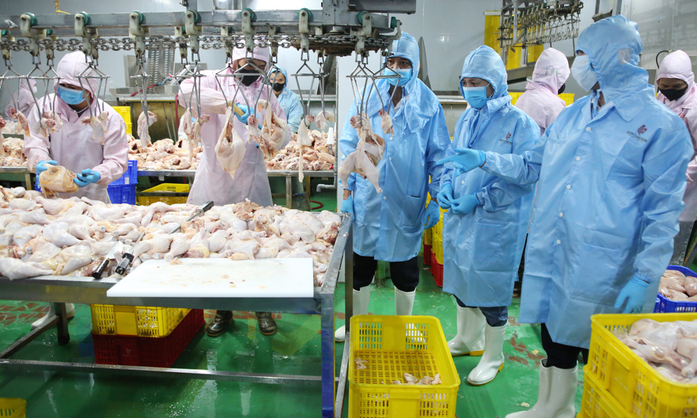 Bắc Ninh tăng cường kiểm dịch, kiểm soát giết mổ, bảo đảm an toàn thực phẩm dịp Tết