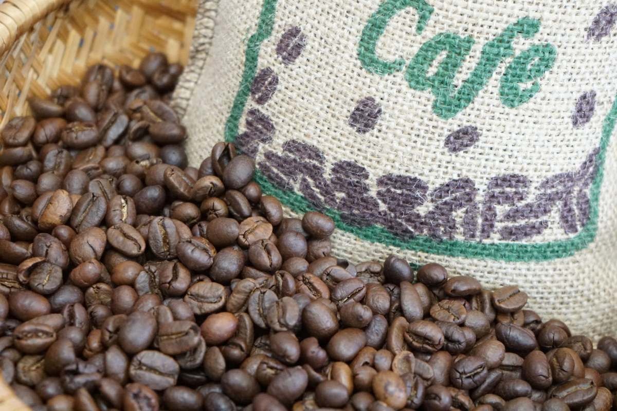 Giá cà phê hôm nay 8/1/2026: Đồng loạt tăng mạnh (Ảnh minh họa) Giá cà phê hôm nay 8/1/2026: Đồng loạt tăng mạnh (Ảnh minh họa)