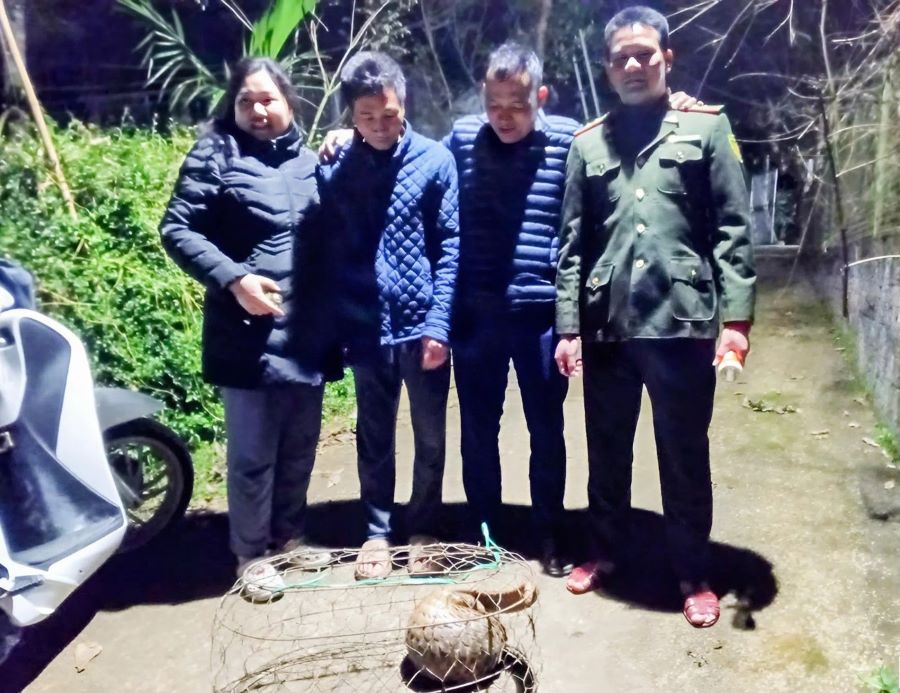 Gia đ&igrave;nh b&agrave; Nguyễn Thị Huệ giao nộp c&aacute; thể t&ecirc; t&ecirc; cho lực lượng Kiểm l&acirc;m Hương Kh&ecirc;