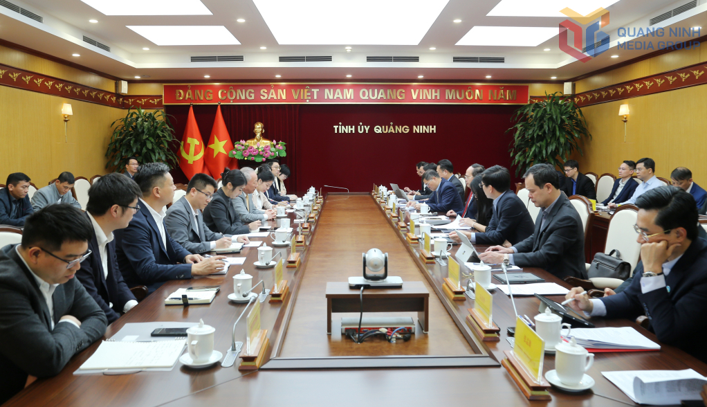 Thường trực Tỉnh ủy Quảng Ninh làm việc với Tập đoàn xây dựng Thái Bình Dương