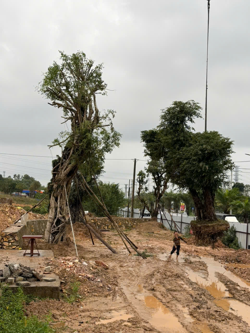 Huế: Dự án New Việt Thắng - “Khu du lịch sinh thái nhà rường 5 sao” hẹn ngày đón khách