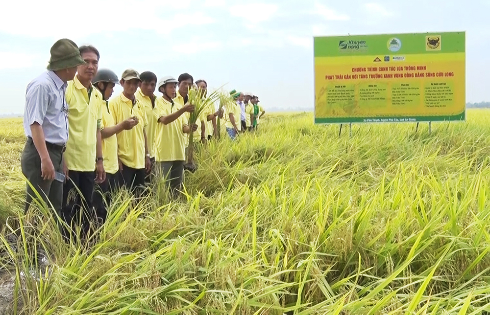 Vùng nguyên liệu - trụ cột cho nông nghiệp hiện đại và bền vững