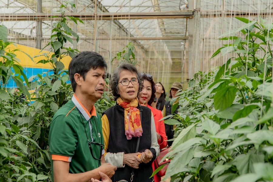 Du kh&aacute;ch thăm quan trang trại Langbiang Farm . Ảnh: Langbiang Farm