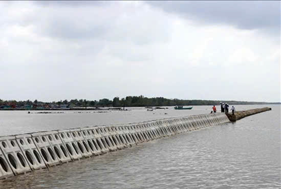 Hơn 26.800 tỷ đồng cho hệ thống đê kè ứng phó biến đổi khí hậu tại Cà Mau