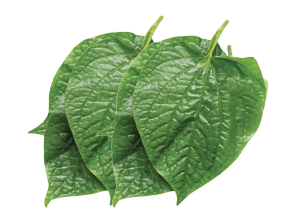 Loại rau vứt đâu cũng sống, người Việt ăn lá còn thân bổ dưỡng lại thường bỏ phí