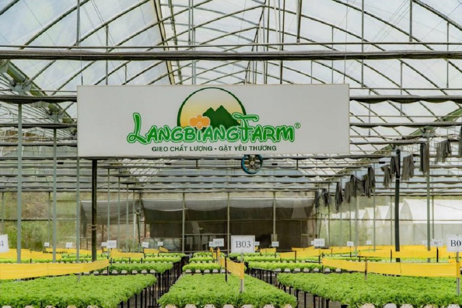 Langbiang Farm kh&aacute;t vọng gieo những gi&aacute; trị xanh. Ảnh: Langbiang Farm