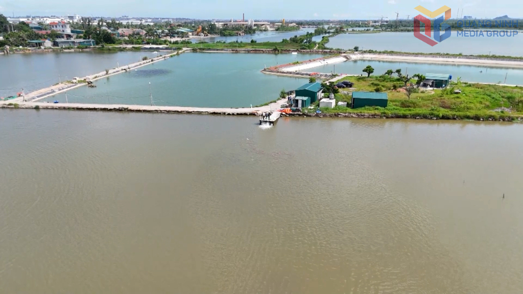 Thủy sản Quảng Ninh hướng tới mục tiêu hơn 203.000 tấn