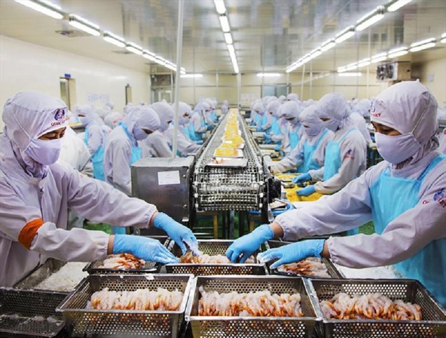 Kim ngạch xuất khẩu ước cả năm đạt 2.600 triệu USD, đạt 100% kế hoạch, tăng 6,4% so cùng kỳ. Trong đó: Thủy sản ước đạt 2.416 triệu USD, đạt 100% kế hoạch, tăng 6,3% so cùng kỳ Kim ngạch xuất khẩu ước cả năm đạt 2.600 triệu USD, đạt 100% kế hoạch, tăng 6,4% so cùng kỳ. Trong đó: Thủy sản ước đạt 2.416 triệu USD, đạt 100% kế hoạch, tăng 6,3% so cùng kỳ