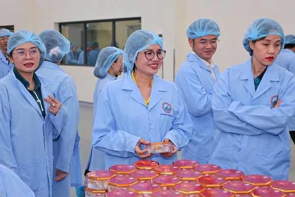 Đại biểu đi thăm c&aacute;c ph&acirc;n sưởng sản xuất của C&ocirc;ng ty Yến s&agrave;o Kh&aacute;nh H&ograve;a