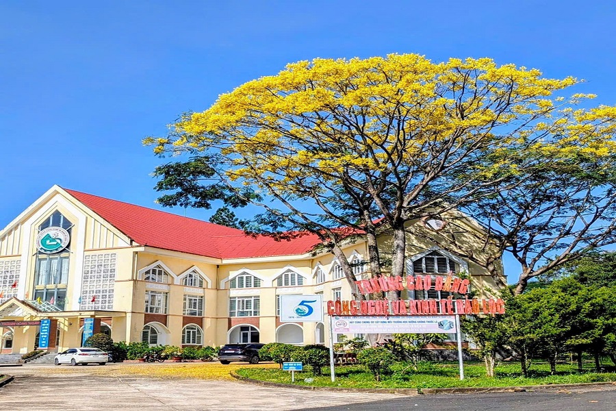 Lâm Đồng: Phượng vàng bung nở rực rỡ trên cao nguyên Bảo Lộc