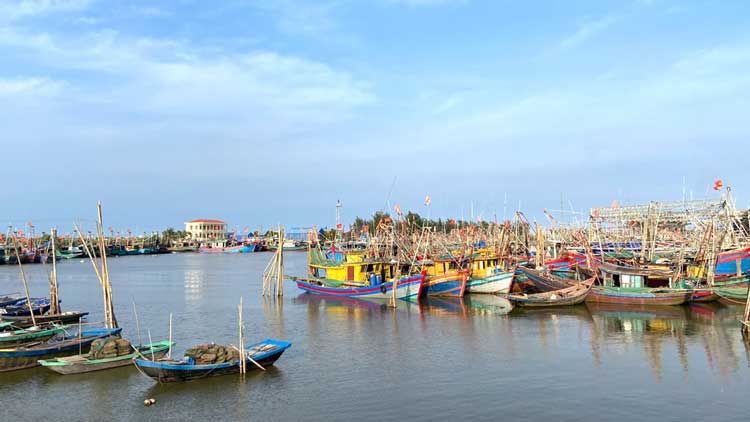 Ninh Bình quyết liệt chống khai thác thủy sản bất hợp pháp