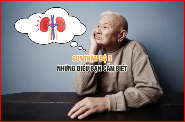 Suy thận độ 5 - Những điều bạn cần biết