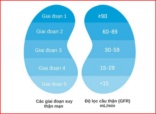 Suy thận độ 5 tiến triển qua nhiều năm tháng Suy thận độ 5 tiến triển qua nhiều năm tháng