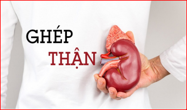 Ghép thận cho người suy thận độ 5 Ghép thận cho người suy thận độ 5