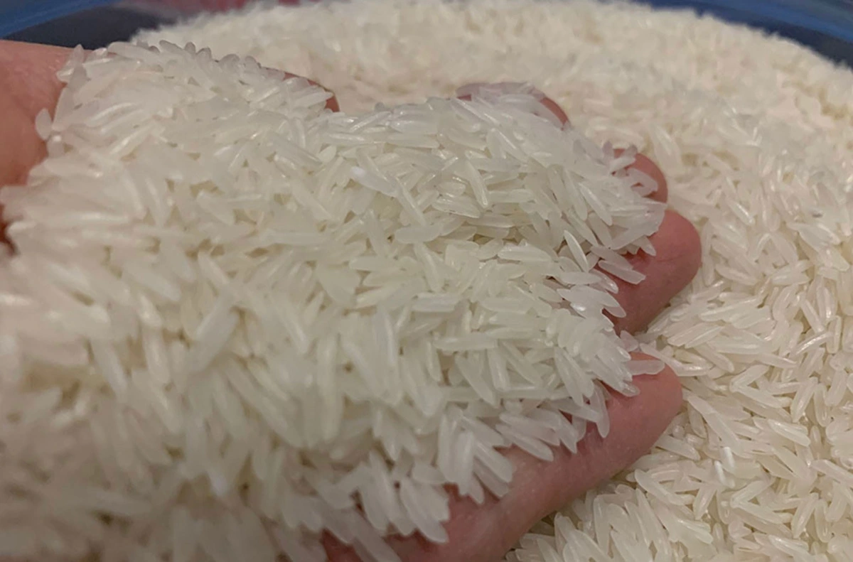 Gi&aacute; l&uacute;a gạo h&ocirc;m nay 11/1: Thị trường gạo xuất khẩu biến động (Ảnh minh họa)