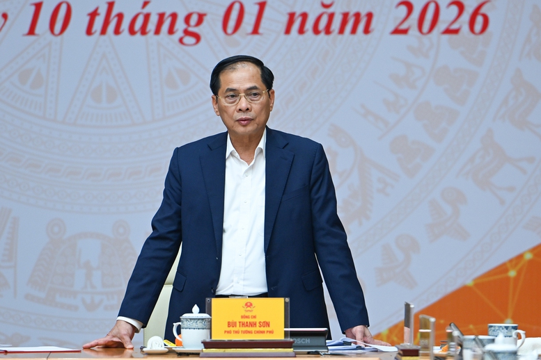 Ph&oacute; Thủ tướng Ch&iacute;nh phủ B&ugrave;i Thanh Sơn ph&aacute;t biểu tại Hội nghị - Ảnh: VGP/Nhật Bắc