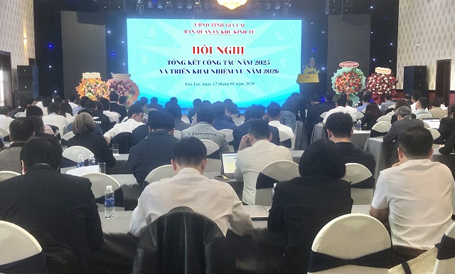 Gia Lai chú trọng thu hút đầu tư có chọn lọc, có chiều sâu và bền vững