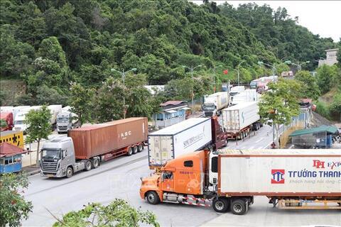 Hoạt động xuất nhập khẩu qua cửa khẩu Lạng Sơn tiếp tục duy trì ổn định