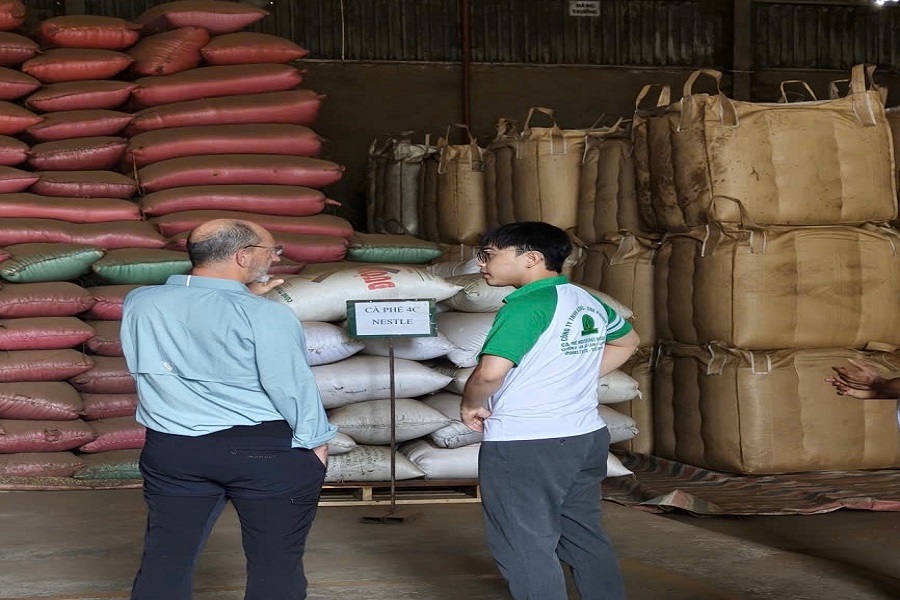 Chuy&ecirc;n gia kiểm tra sản phẩm trước khi cho v&agrave;o kho C&ocirc;ng ty TNHH Kinh doanh N&ocirc;ng sản Phước Sơn