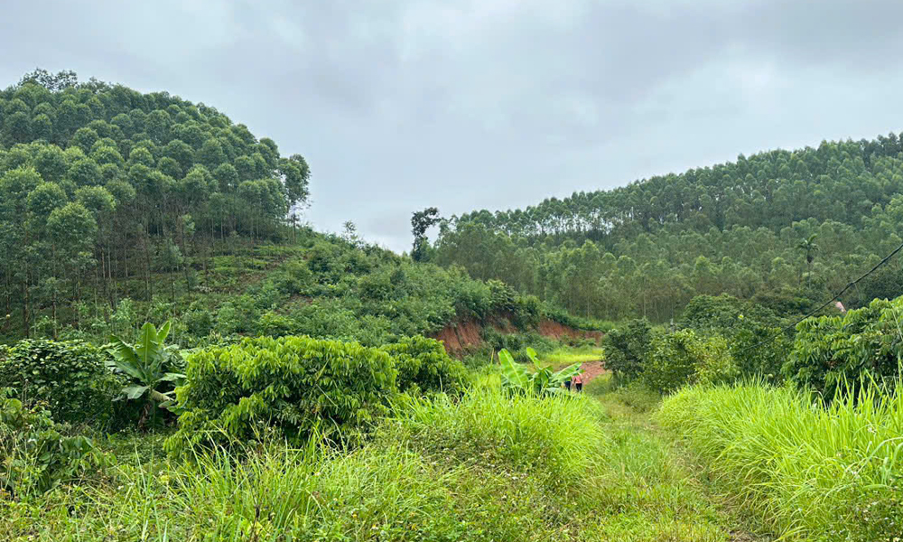 Mỏ đất được c&aacute;p ph&eacute;p khai th&aacute;c đẻ san lấp mặt băng ở x&atilde; Lục Sơn.