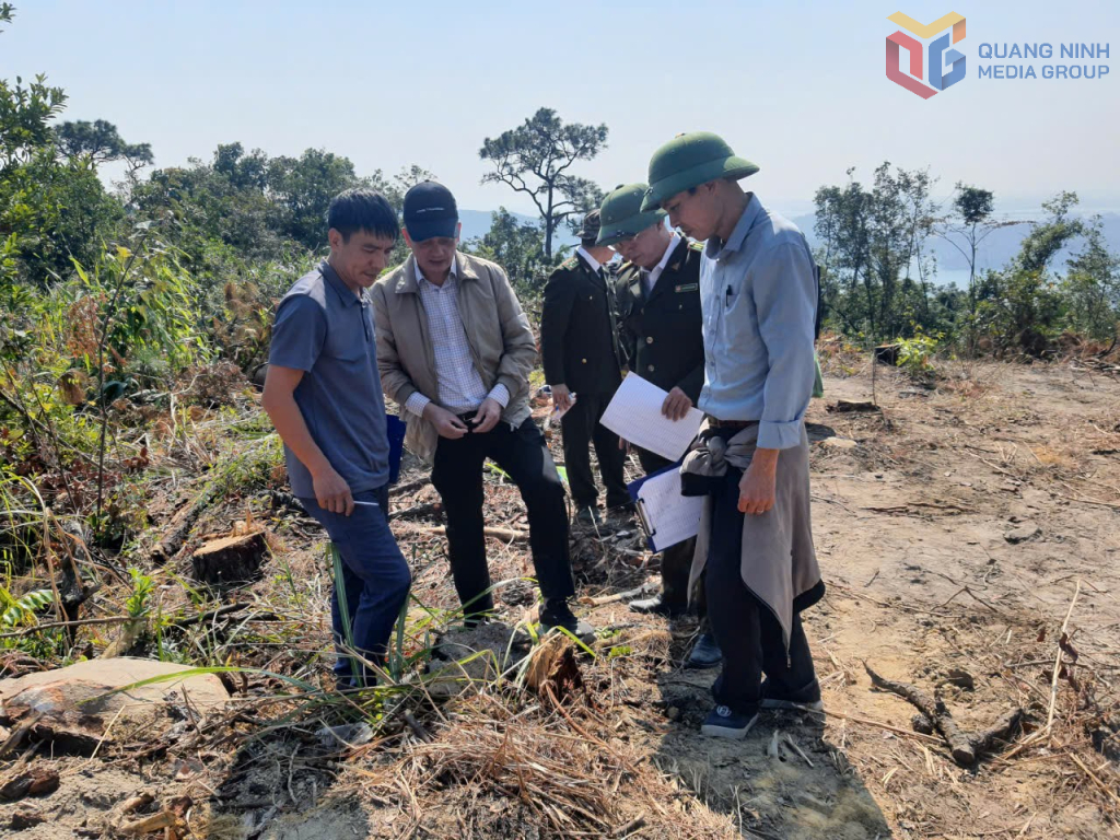 C&aacute;c lực lượng chức năng kiểm tra hiện trường rừng tại khoảnh 5, tiểu khu 96a, phường Tuần Ch&acirc;u