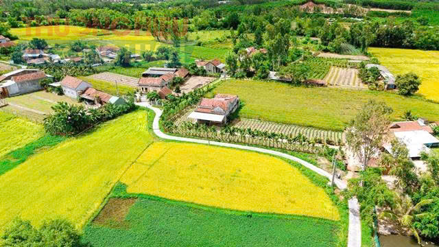 Về n&ocirc;ng nghiệp ước đạt 480,424 tỷ đồng, tăng 3,43%; tổng gi&aacute; trị thu nhập b&igrave;nh qu&acirc;n đầu người ước đạt 60 triệu đồng/người/năm