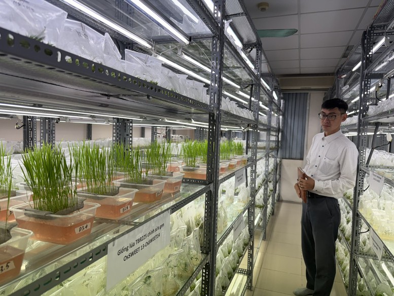 Khoa học công nghệ dẫn dắt nông nghiệp Việt Nam vượt “giới hạn” tăng trưởng truyền thống