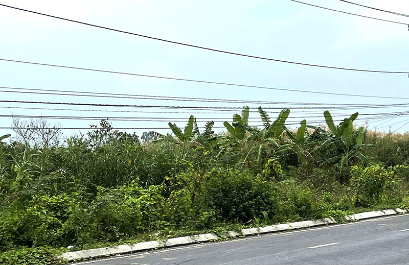 Đất KCN Hưng Ph&uacute; 1 l&ocirc; B chưa giải ph&oacute;ng mặt bằng