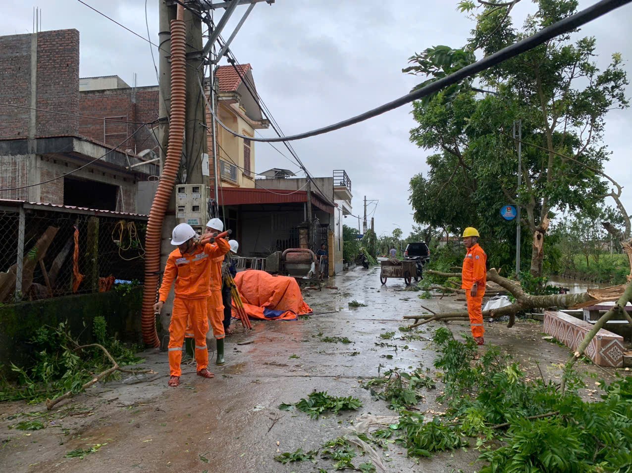 C&aacute;n bộ, nh&acirc;n vi&ecirc;n C&ocirc;ng ty Điện lực Ninh B&igrave;nh