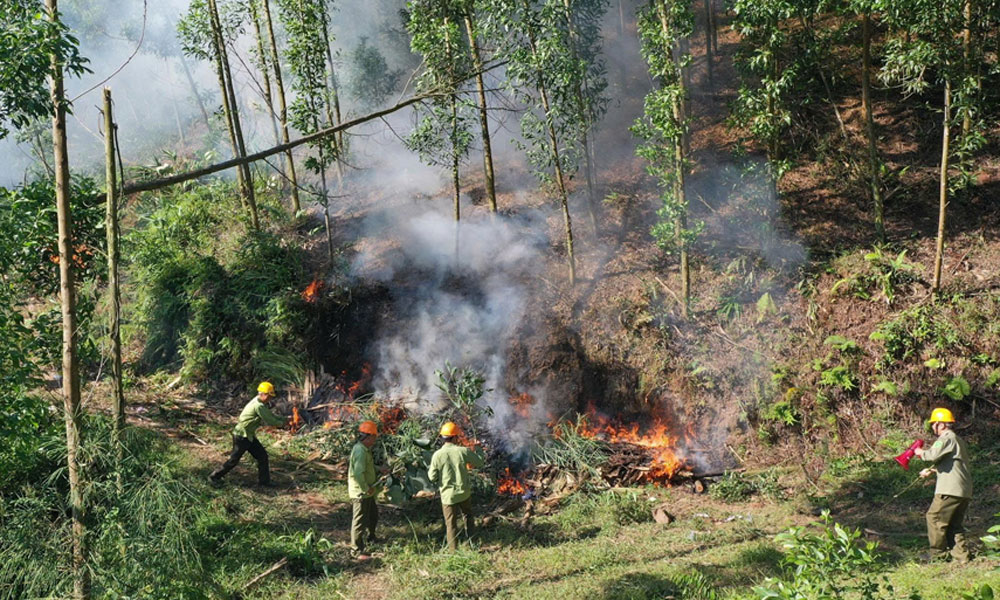 Bắc Ninh: Tăng cường quản lý, bảo vệ và phòng cháy chữa cháy rừng dịp Tết Nguyên đán 2026