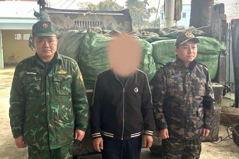 Hải quan cửa khẩu P&ograve; Peo (Chi cục Hải quan khu vực XVI) chủ tr&igrave;, phối hợp với c&aacute;c lực lượng chức năng ph&aacute;t hiện, bắt giữ vụ vận chuyển tr&aacute;i ph&eacute;p 880 kg l&aacute; c&acirc;y thuốc l&aacute; sấy kh&ocirc;. Ảnh: KT
