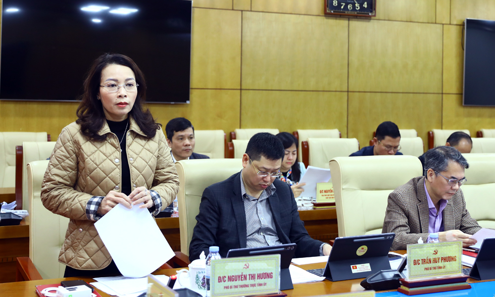 Đồng ch&iacute; Nguyễn Thị Hương, Ph&oacute; B&iacute; thư Thường trực Tỉnh ủy ph&aacute;t biểu tại buổi họp.