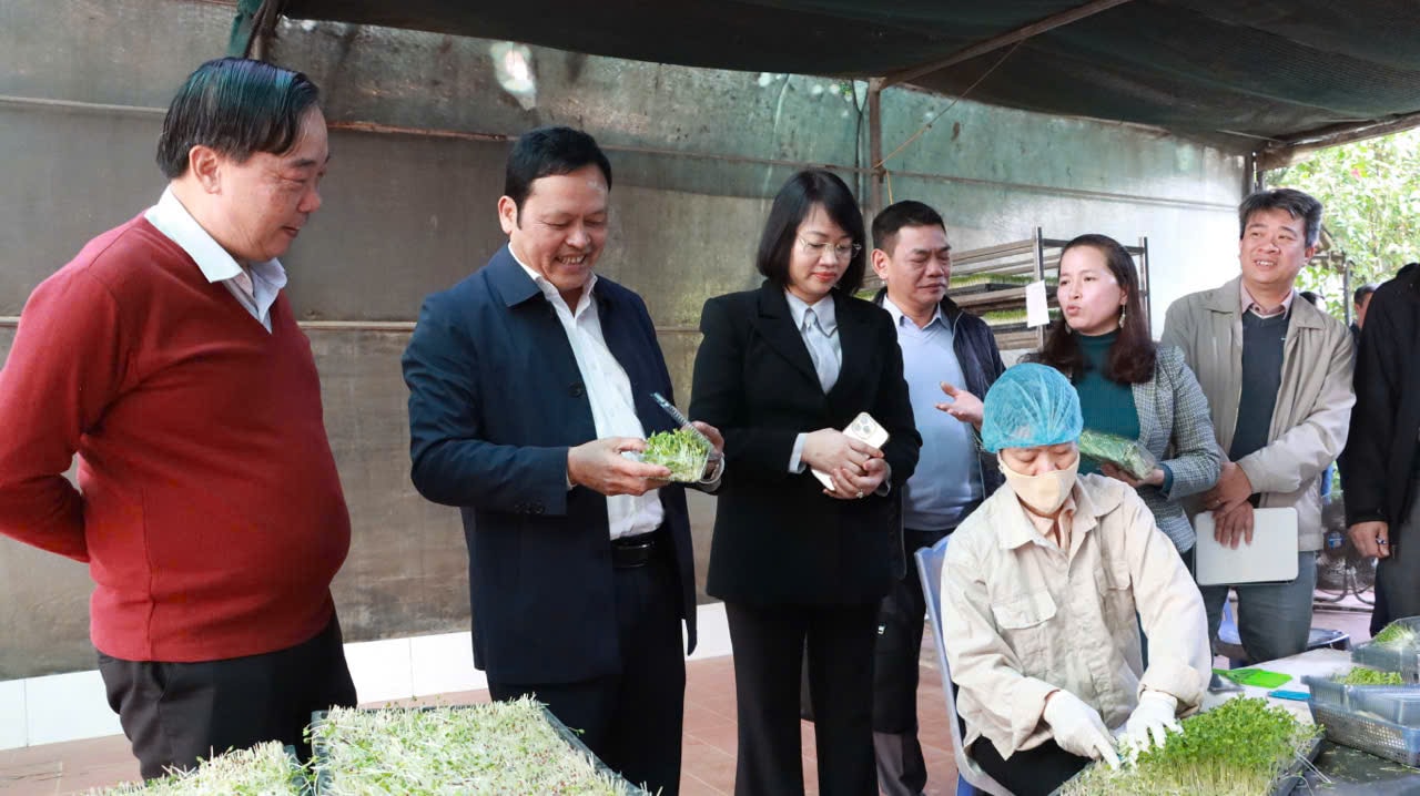 Hà Nội: Cần xây dựng kế hoạch kiểm tra, giám sát nông lâm thủy sản trong dịp Tết