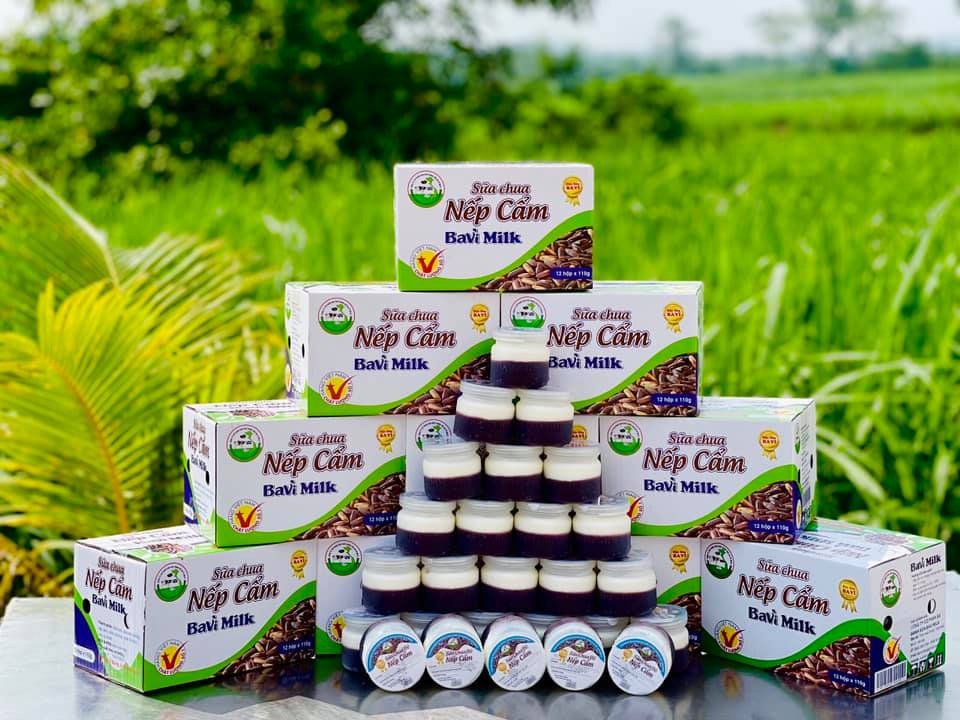 Ba Vì Milk – Hành trình gìn giữ nguồn sữa tươi thuần khiết từ núi Tản, sông Đà