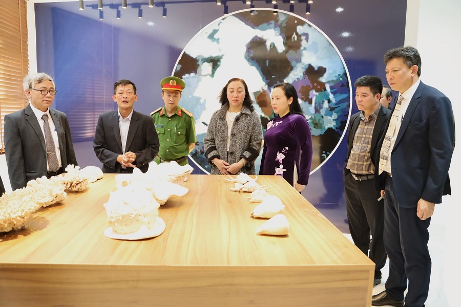 Sau nâng cấp, sửa chữa, Bảo tàng Sinh học đã được bổ sung 2.160 mẫu vật sinh học đặc trưng của vùng Tây Nguyên Sau nâng cấp, sửa chữa, Bảo tàng Sinh học đã được bổ sung 2.160 mẫu vật sinh học đặc trưng của vùng Tây Nguyên