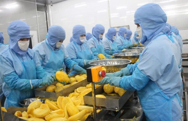 Cổ phiếu Công ty Rau quả Thực phẩm An Giang chính thức giao dịch trên HOSE