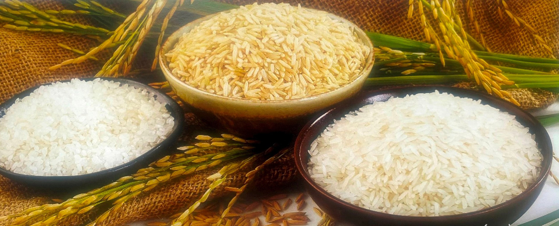 Gi&aacute; l&uacute;a gạo h&ocirc;m nay ng&agrave;y 16/1: Thị trường gi&aacute; ổn định (Ảnh minh họa)