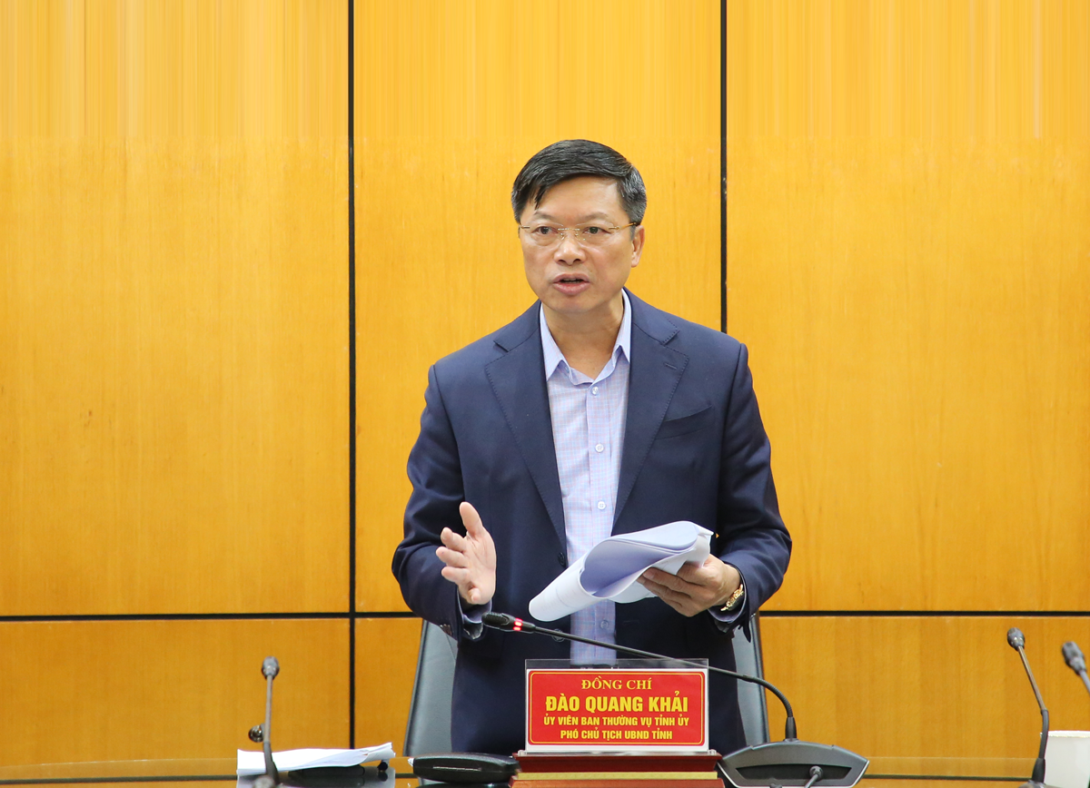 Ph&oacute; Chủ tịch UBND tỉnh Đ&agrave;o Quang Khải kết luận cuộc họp.