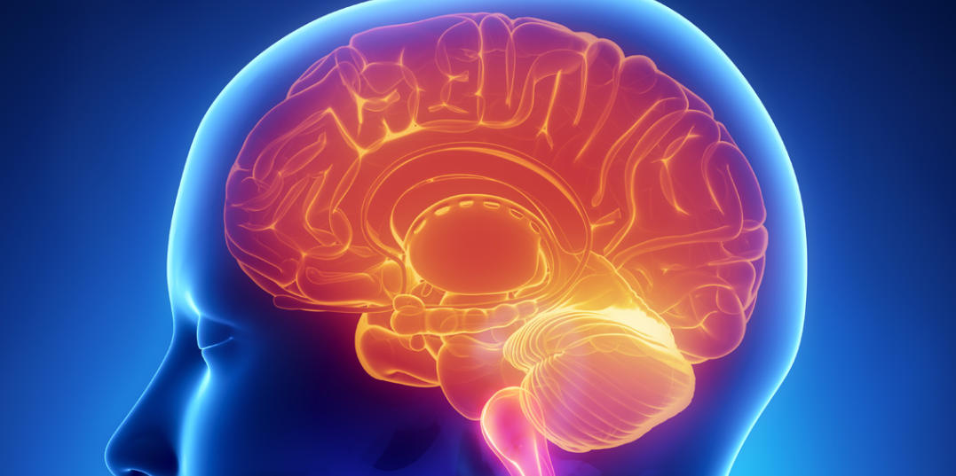 Sự mất c&acirc;n bằng trong hoạt động của n&atilde;o bộ v&agrave; hệ thần kinh ảnh hưởng đến giấc ngủ của trẻ tăng động