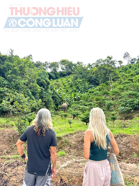 Ph&ocirc;́i hợp với t&ocirc;̉ chức AAF (t&ocirc;̉ chức đ&ocirc;̣ng v&acirc;̣t ch&acirc;u Á) tri&ecirc;̉n khai m&ocirc; hình du lịch th&acirc;n thi&ecirc;̣n với Voi.