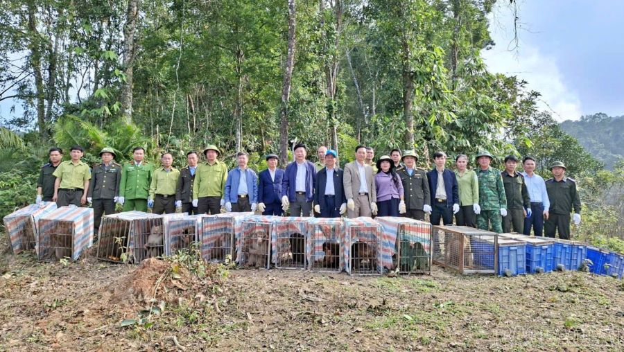Đại diện Vườn quốc gia Vũ Quang v&agrave; Trung t&acirc;m Du lịch v&agrave; bảo tồn sinh vật Ho&agrave;ng Li&ecirc;n tiến h&agrave;nh thả 27 c&aacute; thể động vật hoang d&atilde; về m&ocirc;i trường tự nhi&ecirc;n