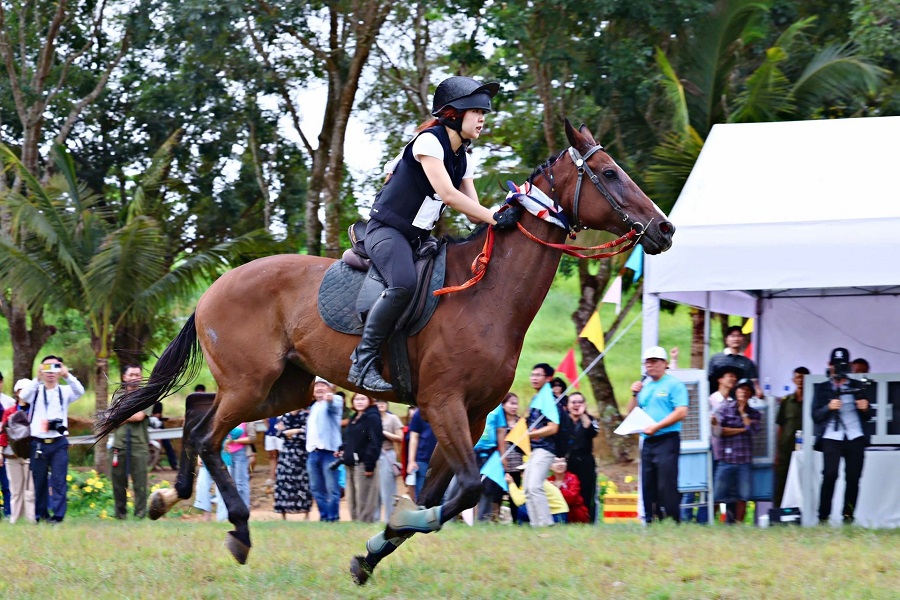 C&ocirc;ng ty Cổ phần Đua ngựa Thi&ecirc;n M&atilde; Mađagui đầu tư c&aacute;c hạng mục c&ocirc;ng tr&igrave;nh phục vụ thi đấu, đ&agrave;o tạo trong v&agrave; ngo&agrave;i nước, đồng thời bảo đảm năng lực logistics, y tế, hải quan theo chuẩn quốc tế