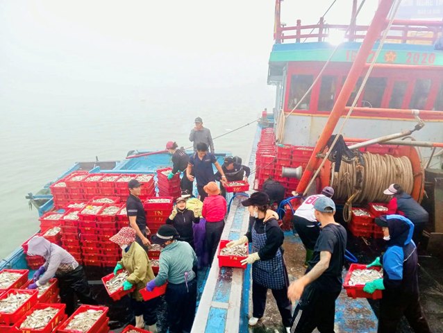 Số h&oacute;a nghề c&aacute;, ch&igrave;a kh&oacute;a chống khai th&aacute;c IUU ở Nghệ An.