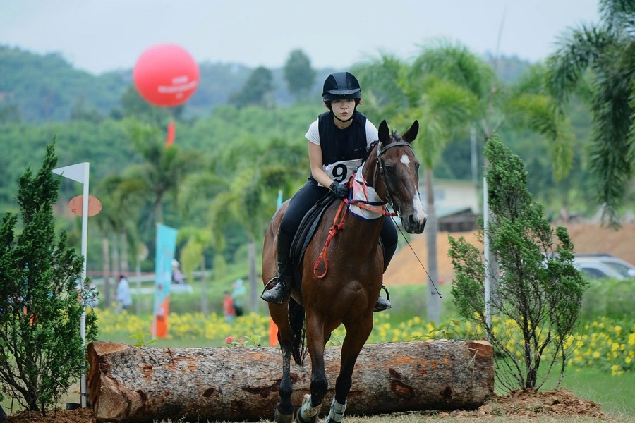 Việt Nam đã đến lúc thành lập Liên đoàn Ngựa thể thao