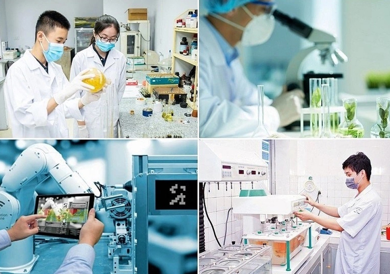 Khuyến kh&iacute;ch, tạo điều kiện thuận lợi để doanh nghiệp đầu tư cho hoạt động khoa học v&agrave; c&ocirc;ng nghệ, đổi mới, l&agrave;m chủ v&agrave; ph&aacute;t triển c&ocirc;ng nghệ.