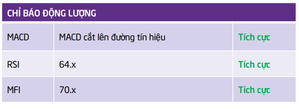 TPS đưa ra một số đ&aacute;nh gi&aacute; ph&acirc;n t&iacute;ch kỹ thuật đối với cổ phiếu VHC