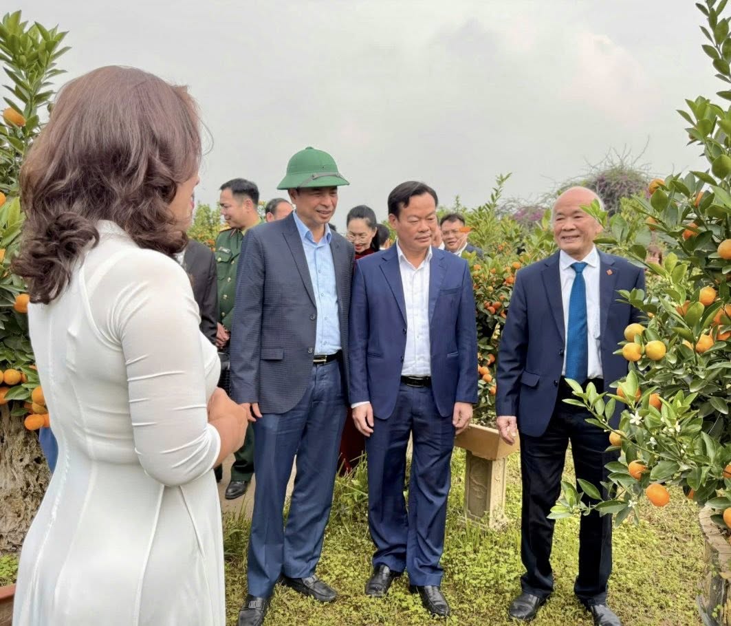 L&atilde;nh đạo Th&agrave;nh phố v&agrave; phường Hồng H&agrave; tham quan vườn quất cảnh Tứ Li&ecirc;n, trao đổi với người d&acirc;n l&agrave;ng nghề về c&ocirc;ng t&aacute;c chăm s&oacute;c, ph&aacute;t triển sản phẩm phục vụ Tết.