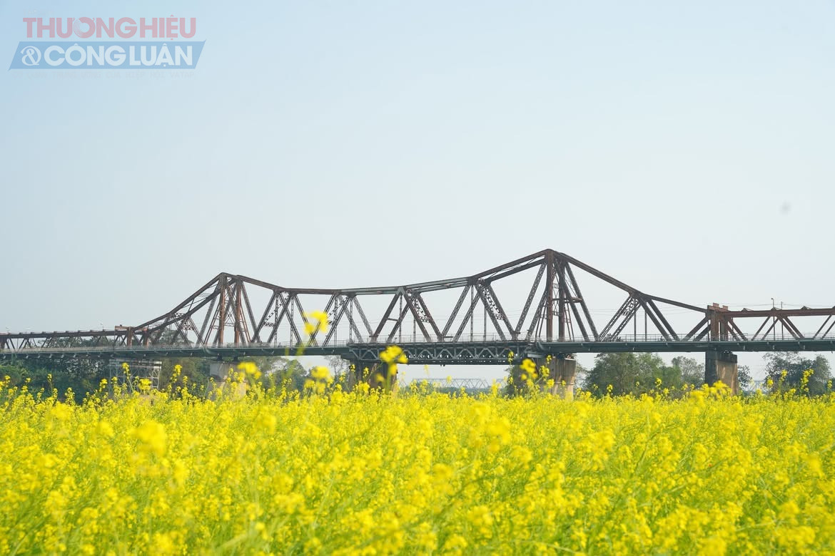 &agrave; b&atilde;i bồi từng chịu nhiều tổn thương sau c&aacute;c đợt lũ lớn tr&ecirc;n s&ocirc;ng Hồng, khu vực n&agrave;y nay đ&atilde; hồi sinh mạnh mẽ, kho&aacute;c l&ecirc;n m&igrave;nh diện mạo mới tr&agrave;n đầy sức sống. Kh&ocirc;ng gian tho&aacute;ng đ&atilde;ng, ngập tr&agrave;n sắc hoa trải d&agrave;i ven bờ s&ocirc;ng đ&atilde; trở th&agrave;nh điểm đến l&yacute; tưởng để người d&acirc;n đ&oacute;n b&igrave;nh minh, tản bộ thư gi&atilde;n v&agrave; lưu giữ những khoảnh khắc rực rỡ, y&ecirc;n b&igrave;nh hiếm c&oacute; giữa nhịp sống s&ocirc;i động của Thủ đ&ocirc;.