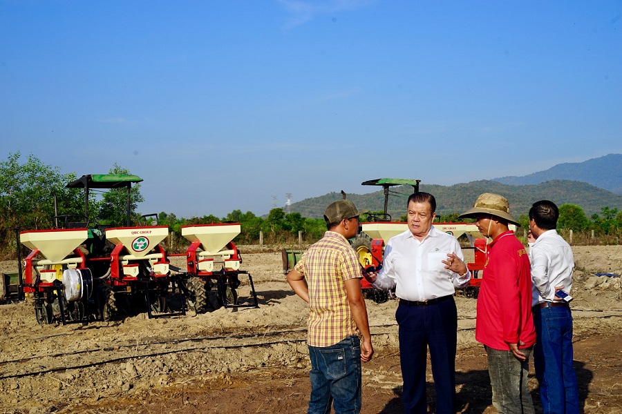 Lâm Đồng: Trồng cây cao lương công nghệ cao