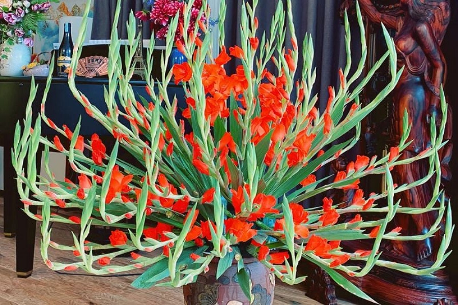 Cắm hoa lay ơn với xốp kiểu cắm 